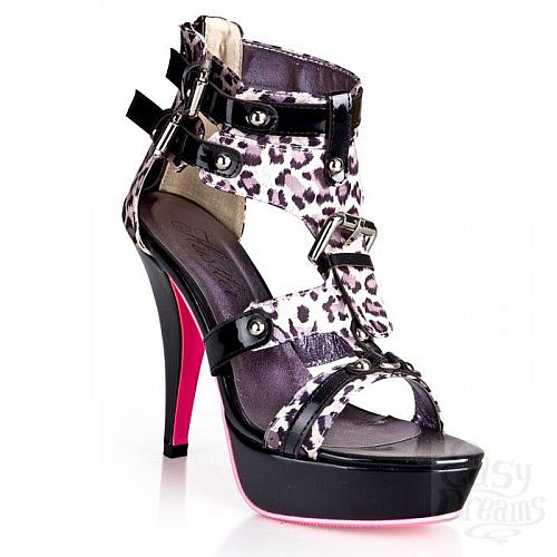 ���������� 1:  ����� ����������� ���������