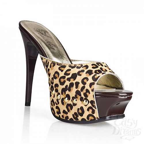  1:      Wild Jauguar