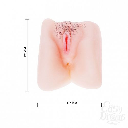 ���������� 4  ������ ����������� ������ � ���������� � ������