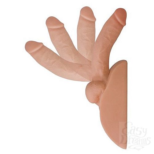 ���������� 3  �����������-���� � ������������ ���������������