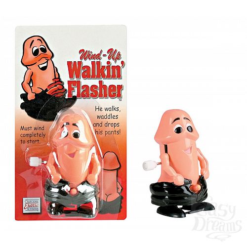 ���������� 2  ����� ��� ��������