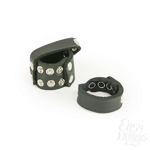 ���������� 2  ������� ����������� ������ �� ����� TLC Kinky Cock Ring   Ball Harness