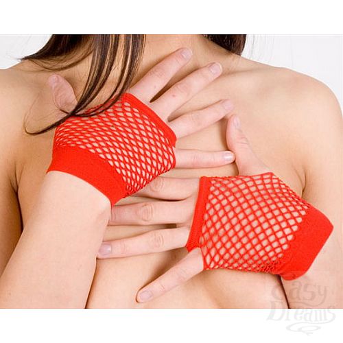 ���������� 1:  ������� �������������� � ��������� ���������� (Erolanta 9310000)