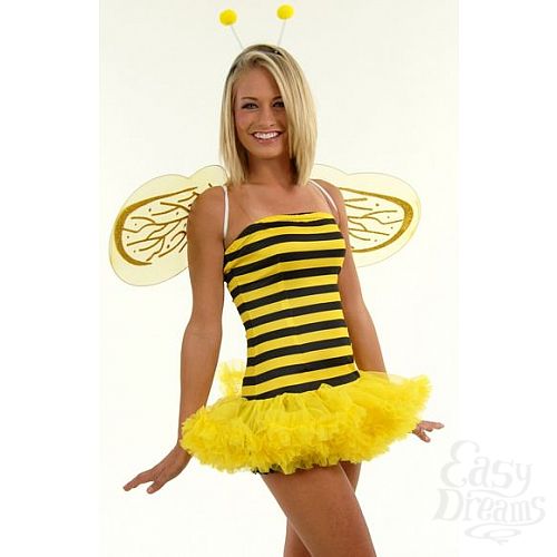 ���������� 1:  ������ ����� ������