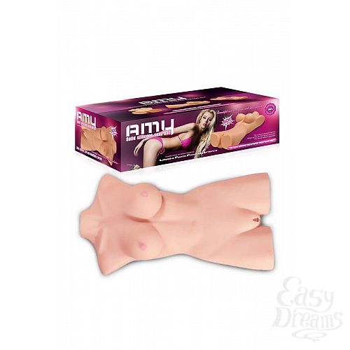 ���������� 6  ������������ ���� ��� ����� Amy