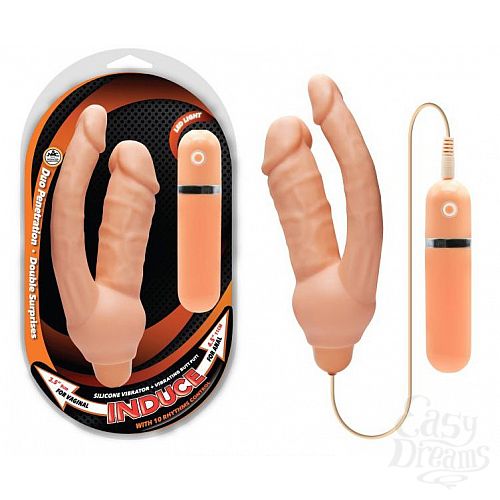 ���������� 1:  �������-����������� �������� ��������� ����� 