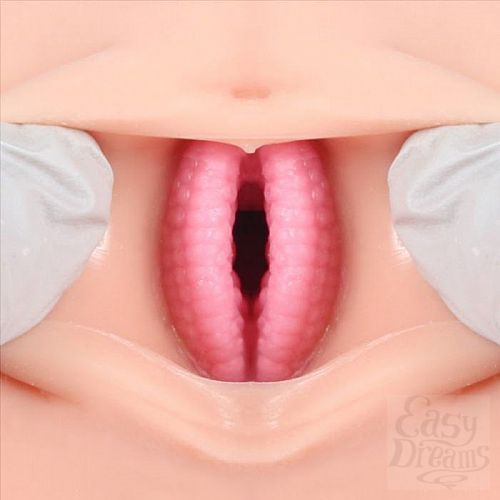 ���������� 3  ����������� Veronia � ����� �������� ����������� ��� �����