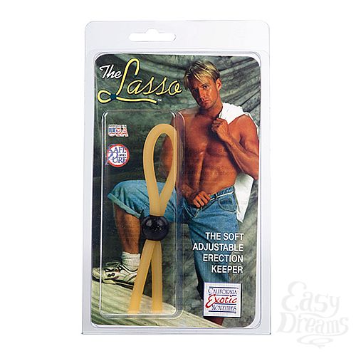 ���������� 1:  ����� ��� ������ LASSO