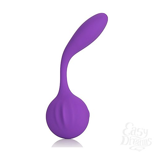 ���������� 2  �������������� ������������� Silhouette S8  -Purple