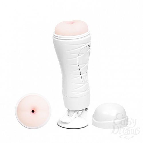 ���������� 1:  �����������-���� � ���� � ��������� Flora