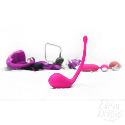  2  ,    Lush Bullet Vibrator - 18 .