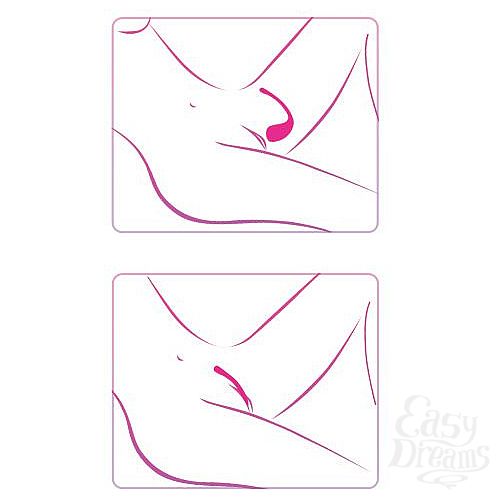  5  ,    Lush Bullet Vibrator - 18 .