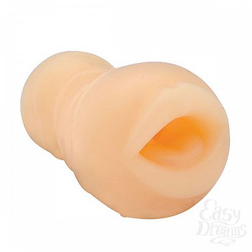 ���������� 1:  �������� �����������-����� REALSTUFF REALISTIC FRESH STROKER MOUTH