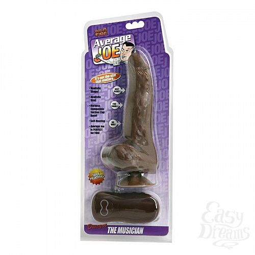 ���������� 2  ���������� ��������-���������  Average Joe The Musician - 21 ��.