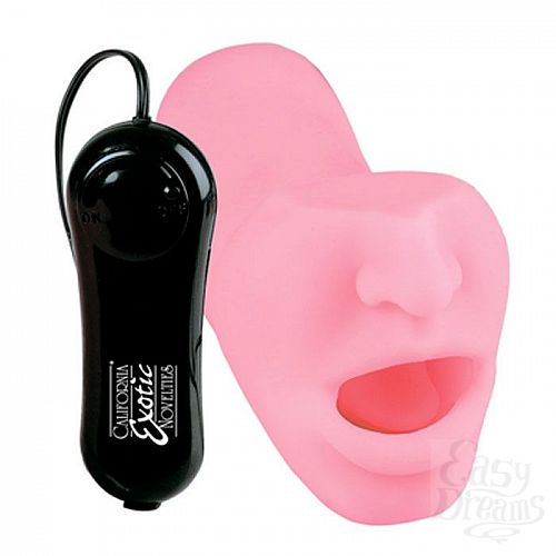 ���������� 1:  ����� ����������� Aria