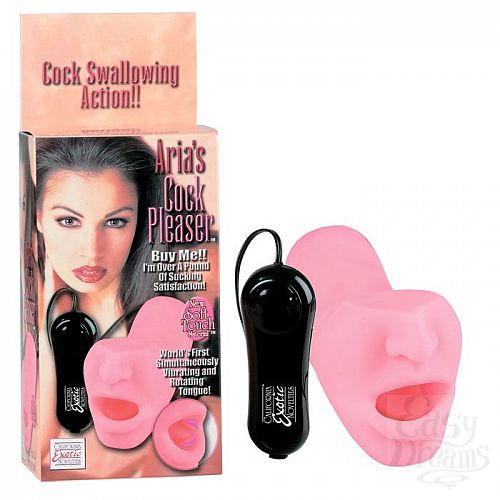 ���������� 2  ����� ����������� Aria