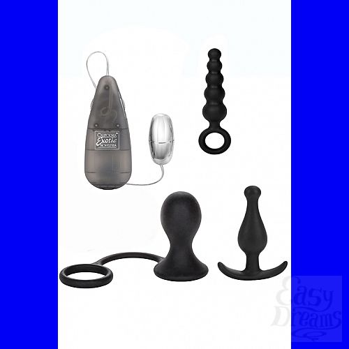 Фотография 2  Анальный набор His Prostate Training Kit