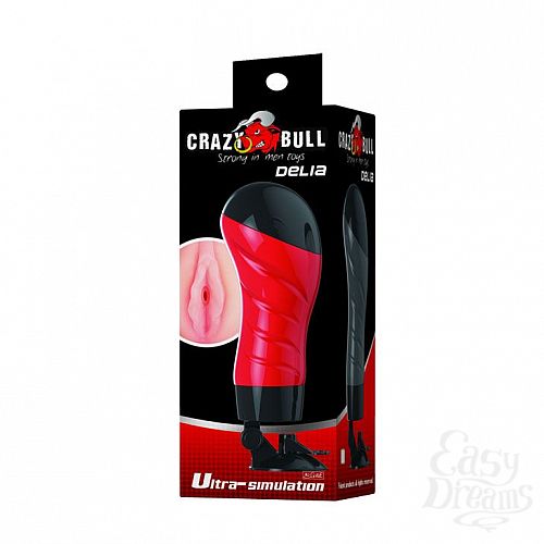 ���������� 2  �����������-���� Delia � ���� � ���������