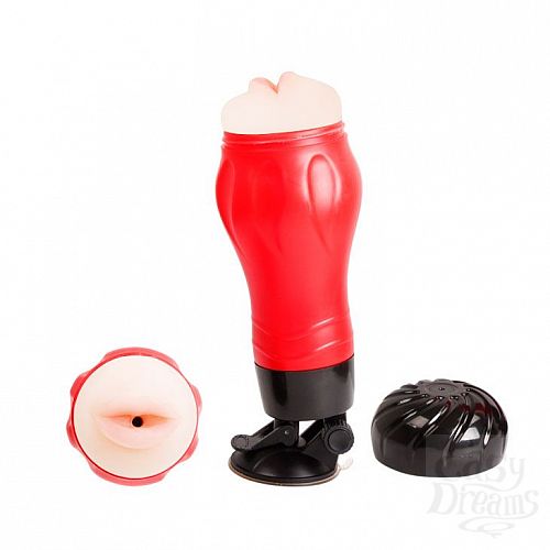 ���������� 1:  �����������-����� Flora � 12 �������� �������� � ���������