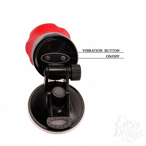 ���������� 5  �����������-����� Flora � 12 �������� �������� � ���������