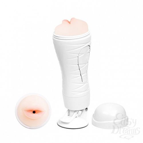 ���������� 1:  �����������-����� Flora White � 12 �������� �������� � ���������