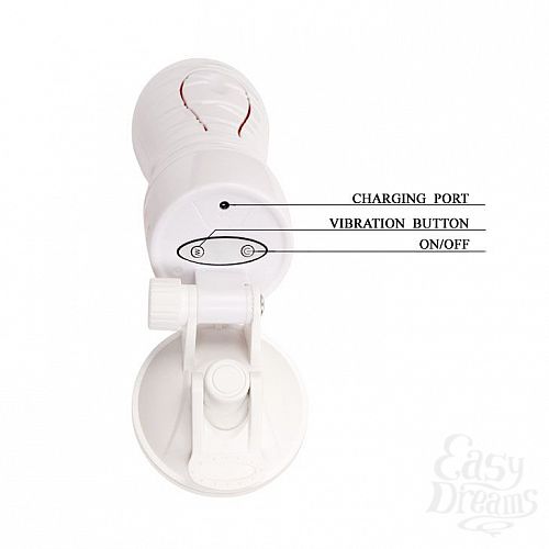 ���������� 4  �����������-����� Flora White � 12 �������� �������� � ���������