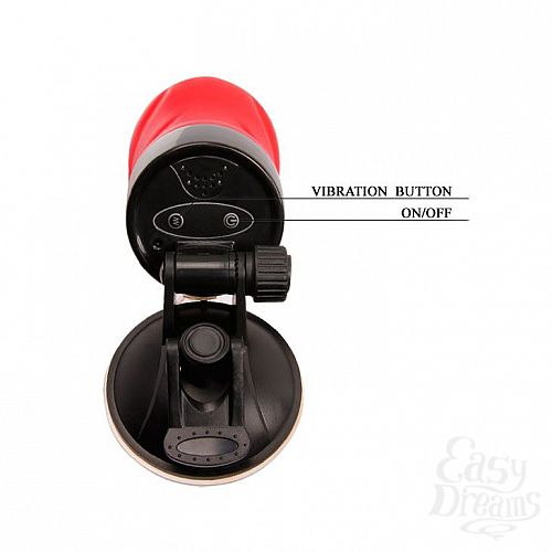 ���������� 4  �����������-���� Delia � ��������� � ���������