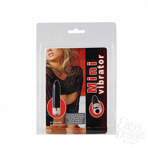 ���������� 4  ׸���� ����������� � ������� �����������