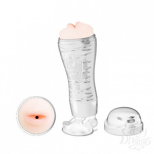 ���������� 1:  �����������-����� Flora White � ���������