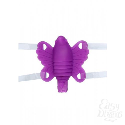 ���������� 1:  ��������-������� Butterfly Baby Purple