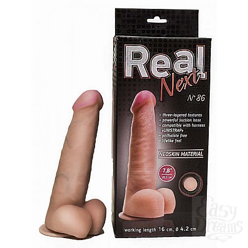  1:        REAL Next  86 - 20,5 .