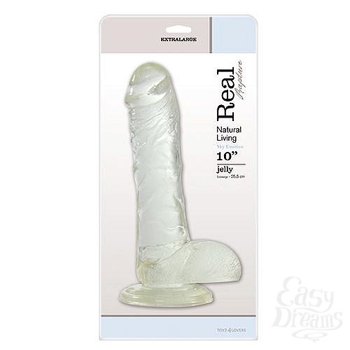 ���������� 2  ���������� ������������� JELLY DILDO REAL RAPTURE CLEAR 10 - 25,5 ��.
