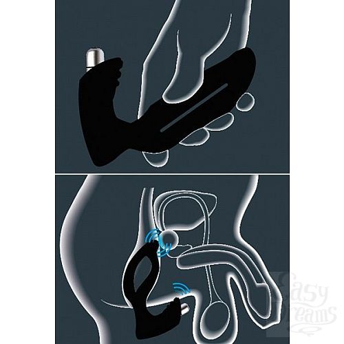 ���������� 2  ���������� �������� JoyDivision Xpander X4+ Size L