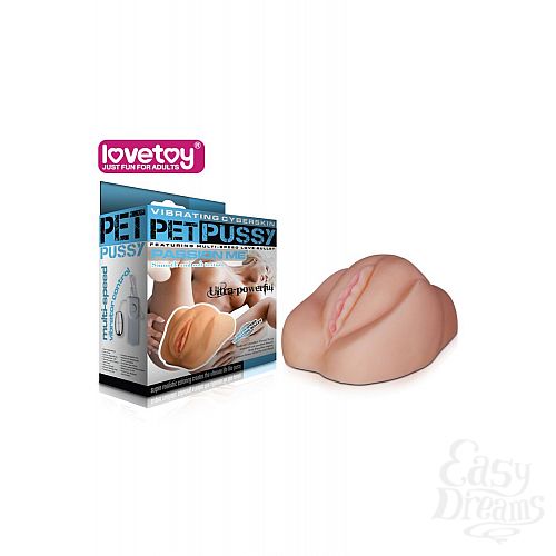 ���������� 1:  ������ � ���������� ������ � ���������