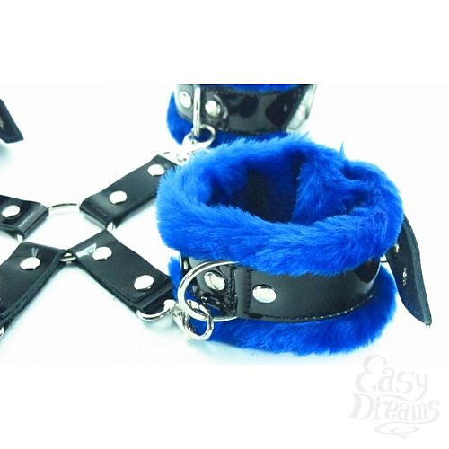  3        BDSM Light 760006ars