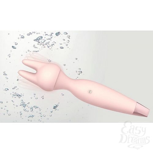  3  -     Gazella - 21,8 .