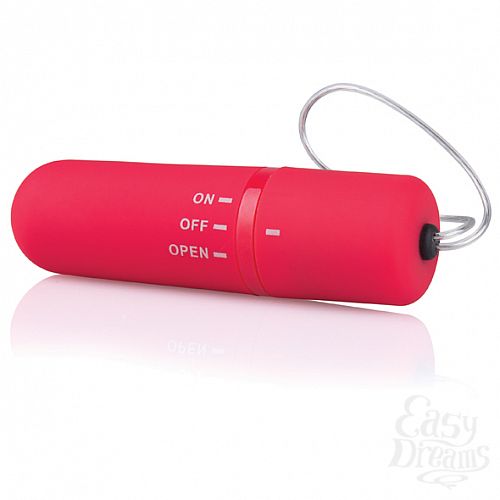  4   Remote Control Panty Vibe (Screaming O), 