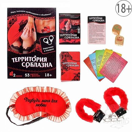 Фотография 9:  Игра с карточками  Территория соблазна  в книге-шкатулке Фотография 9  Игра с карточками  Территория соблазна  в книге-шкатулке