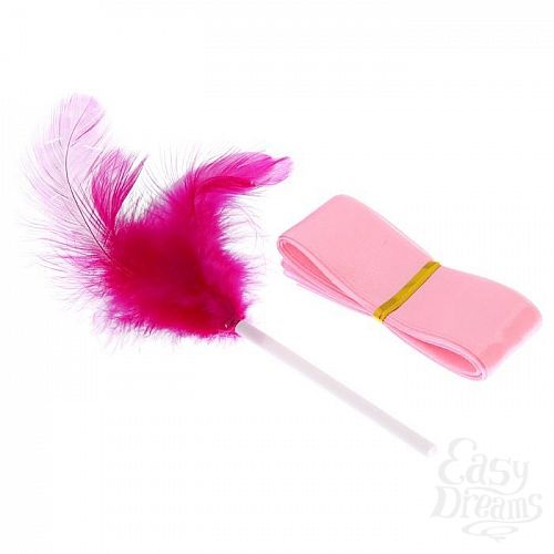 Фотография 6:  Игра  Территория соблазна.Нежная романтика  Фотография 6  Игра  Территория соблазна.Нежная романтика