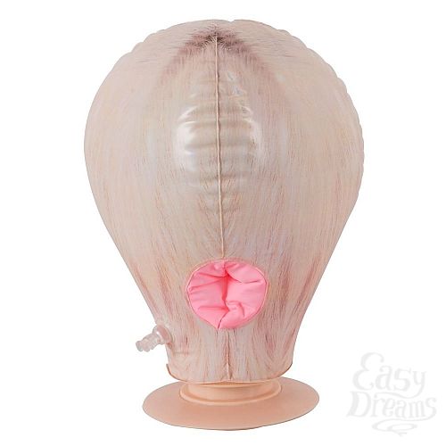 ���������� 4  �������� ������ Function Head Georgina S.