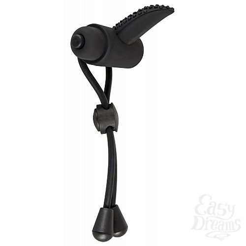 ���������� 2  ׸��� ����� �� ����� BLACK VELVETS � ���������