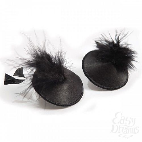  2     Burlesque Pasties Feather Bijoux
