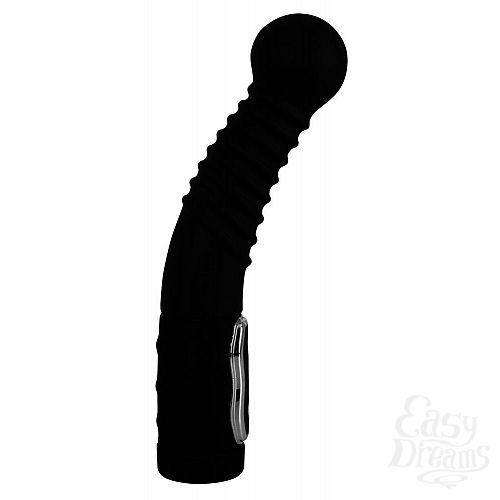 ���������� 2  ׸���� ���������� �������� � �������� Prostate Twister - 20 ��.