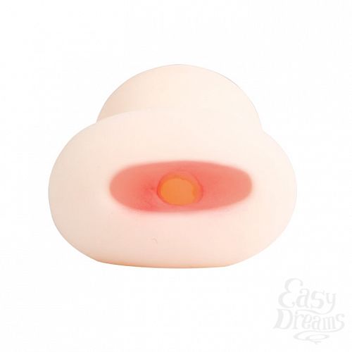 ���������� 2  ����������� Tulip BM-009162