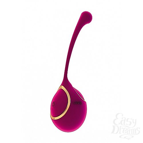 ���������� 3  ��������� Zeki, ����������