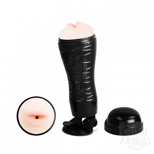 ���������� 1:  ����-����������� Flora �����  