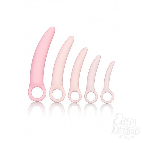 ���������� 2  ����� ����������� ���������� �� �������� (5 ��������������� ������� �������) INSPIRE SILI DILATOR 5 P