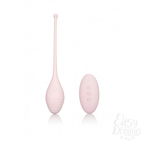 ���������� 2  ������������� INSPIRE VIB RMT KEGEL EXERCISR