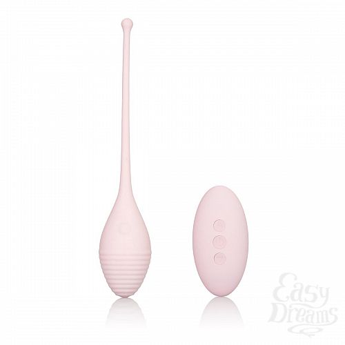 ���������� 1:  ������������� Vibrating Remote Kegel Exerciser