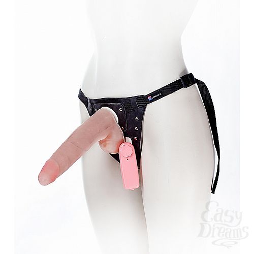 ���������� 1:  ������� � ��������� � ������ Harness, 22,5 ��., ��������